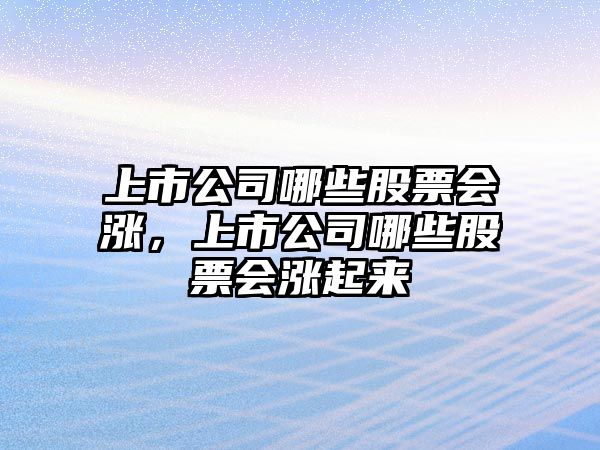 上市公司哪些股票會(huì )漲，上市公司哪些股票會(huì )漲起來(lái)