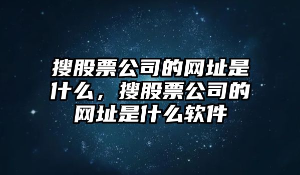 搜股票公司的網(wǎng)址是什么，搜股票公司的網(wǎng)址是什么軟件