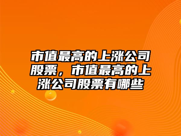 市值最高的上漲公司股票，市值最高的上漲公司股票有哪些