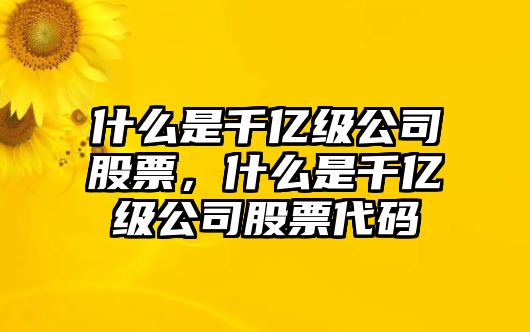 什么是千億級公司股票，什么是千億級公司股票代碼