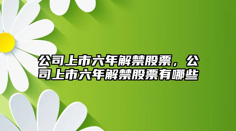 公司上市六年解禁股票，公司上市六年解禁股票有哪些