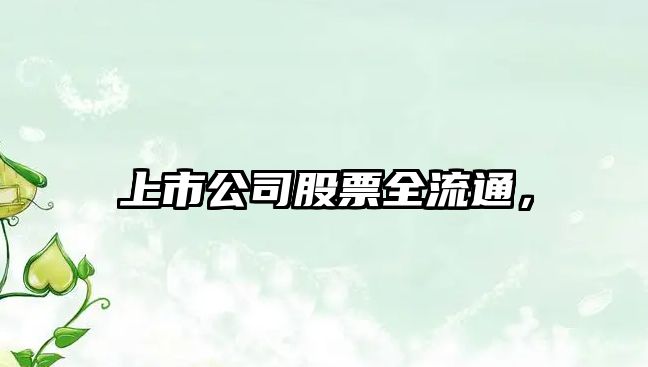 上市公司股票全流通，