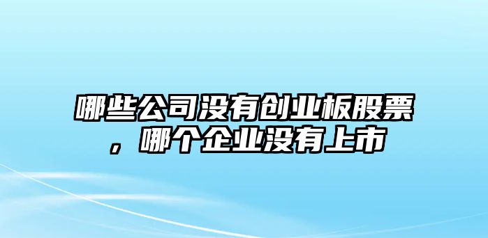 哪些公司沒(méi)有創(chuàng  )業(yè)板股票，哪個(gè)企業(yè)沒(méi)有上市