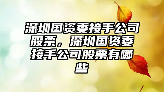 深圳國資委接手公司股票，深圳國資委接手公司股票有哪些