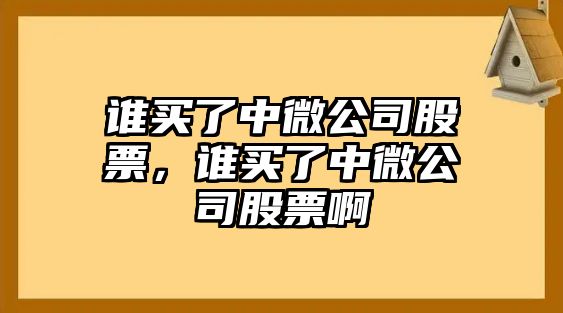 誰(shuí)買(mǎi)了中微公司股票，誰(shuí)買(mǎi)了中微公司股票啊