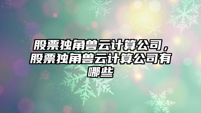 股票獨角獸云計算公司，股票獨角獸云計算公司有哪些