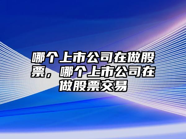 哪個(gè)上市公司在做股票，哪個(gè)上市公司在做股票交易