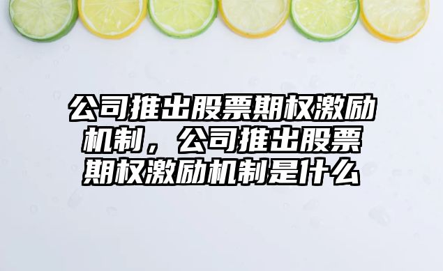 公司推出股票期權激勵機制，公司推出股票期權激勵機制是什么