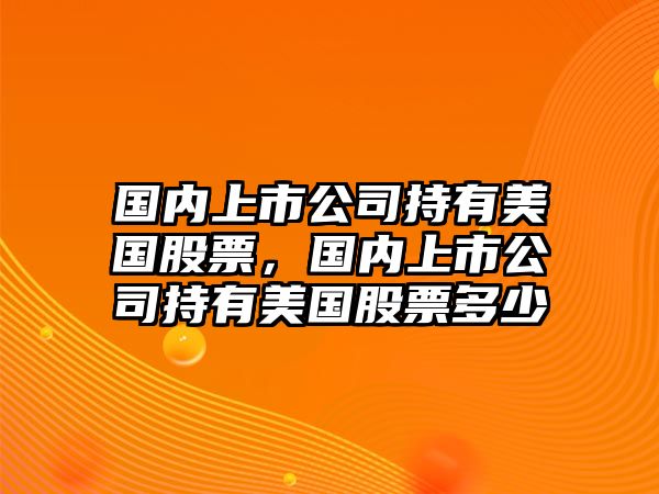 國內上市公司持有美國股票，國內上市公司持有美國股票多少