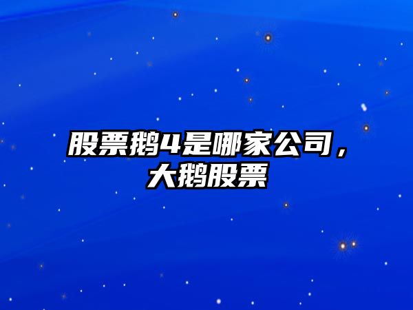 股票鵝4是哪家公司，大鵝股票