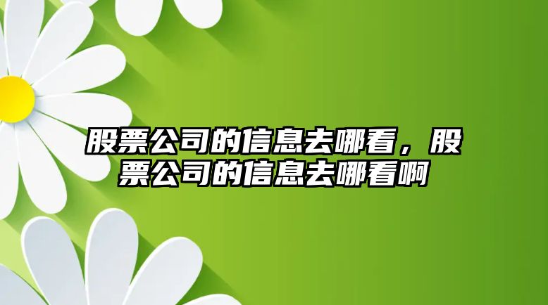 股票公司的信息去哪看，股票公司的信息去哪看啊