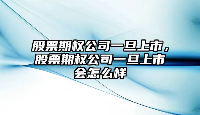 股票期權公司一旦上市，股票期權公司一旦上市會(huì )怎么樣