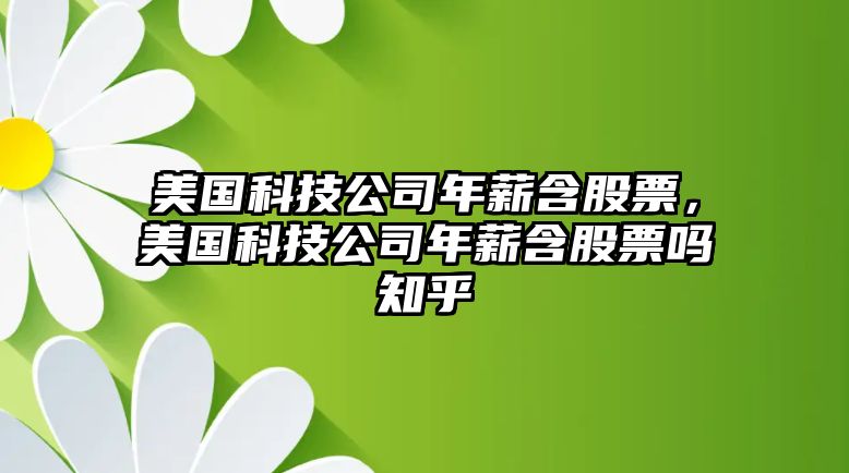 美國科技公司年薪含股票，美國科技公司年薪含股票嗎知乎