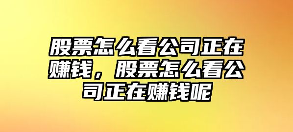 股票怎么看公司正在賺錢(qián)，股票怎么看公司正在賺錢(qián)呢