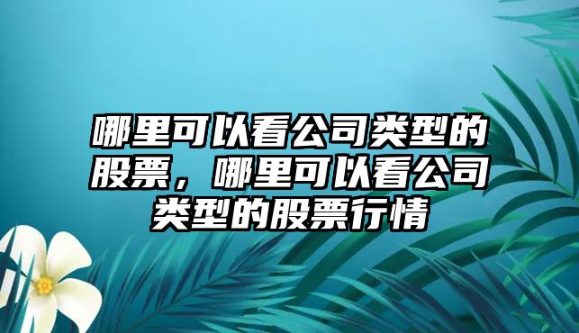 哪里可以看公司類(lèi)型的股票，哪里可以看公司類(lèi)型的股票行情