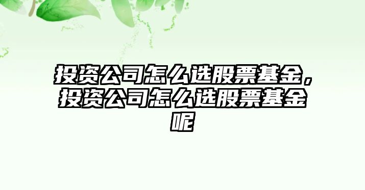 投資公司怎么選股票基金，投資公司怎么選股票基金呢