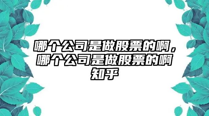 哪個(gè)公司是做股票的啊，哪個(gè)公司是做股票的啊知乎