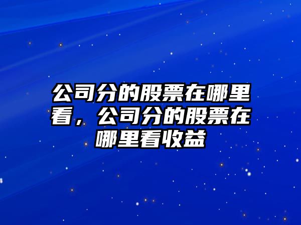 公司分的股票在哪里看，公司分的股票在哪里看收益