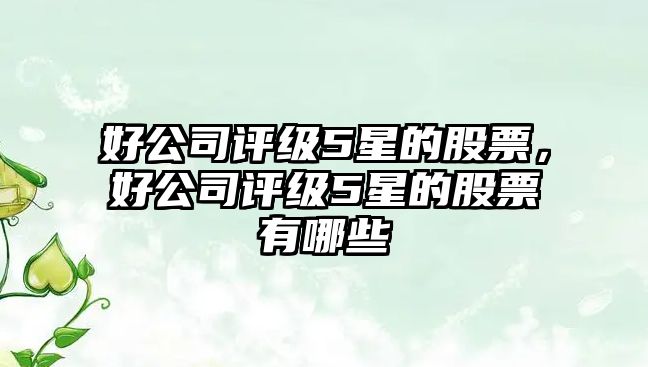 好公司評級5星的股票，好公司評級5星的股票有哪些