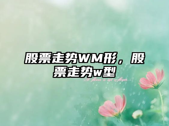 股票走勢WM形，股票走勢w型