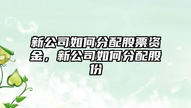 新公司如何分配股票資金，新公司如何分配股份