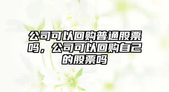 公司可以回購普通股票嗎，公司可以回購自己的股票嗎