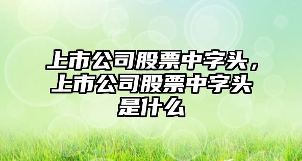 上市公司股票中字頭，上市公司股票中字頭是什么